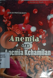 klik untuk memperbesar gambar